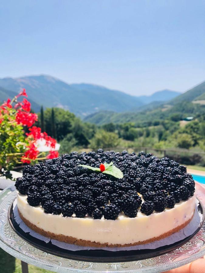 Agriturismo Roccagelli Vallo di Nera Ngoại thất bức ảnh