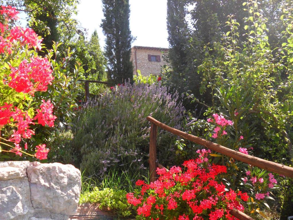 Agriturismo Roccagelli Vallo di Nera Ngoại thất bức ảnh