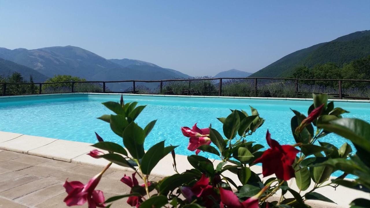 Agriturismo Roccagelli Vallo di Nera Ngoại thất bức ảnh