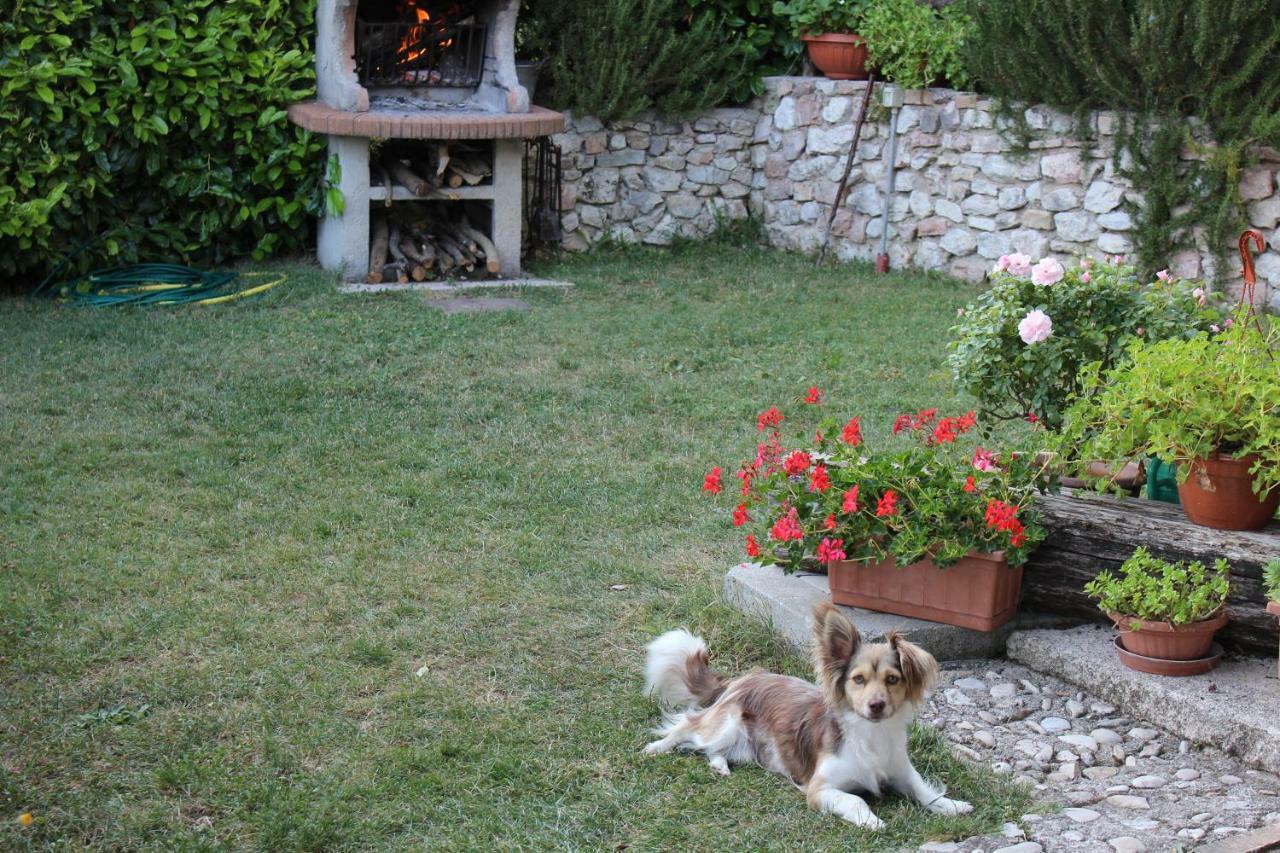 Agriturismo Roccagelli Vallo di Nera Ngoại thất bức ảnh